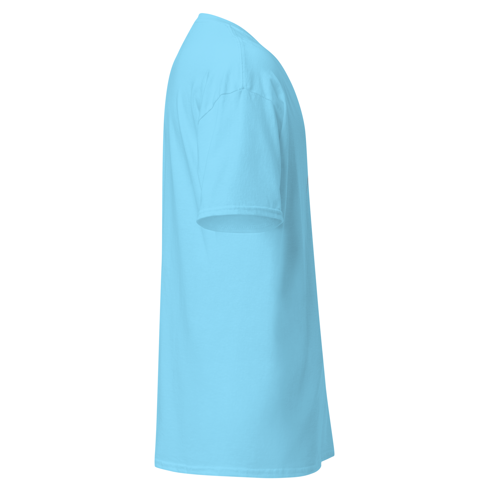 Stars Tee — Blue right